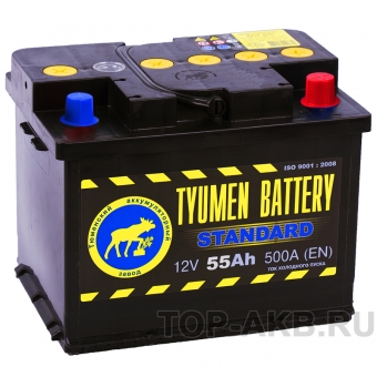 Аккумулятор автомобильный Tyumen Battery Standard 55 Ач обр. пол. 525A (242x175x190)