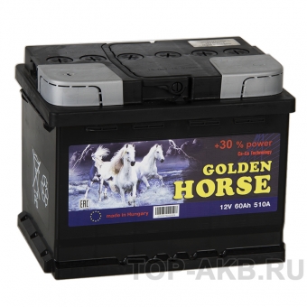Аккумулятор автомобильный Golden Horse 60L 510А 242x175x190