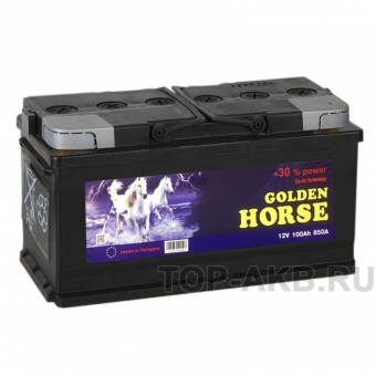 Аккумулятор автомобильный Golden Horse 100R 850А 353x175x190