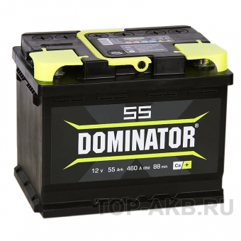 Аккумулятор автомобильный Dominator 55L 510А 242x175x190