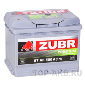 Аккумулятор автомобильный ZUBR Premium 57L 500A (242x175x190)