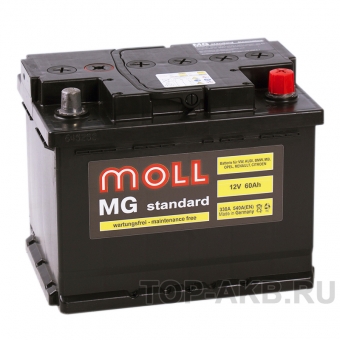 Аккумулятор автомобильный Moll MG Standard 60R 540A 242x175x190