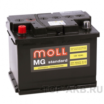 Аккумулятор автомобильный Moll MG Standard 62L 600A 242x175x190