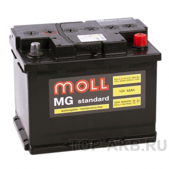 Аккумулятор автомобильный Moll MG Standard 62R 600A 242x175x190