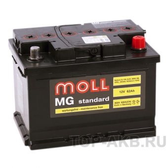 Аккумулятор автомобильный Moll MG Standard 62 SR 600A 242x175x175