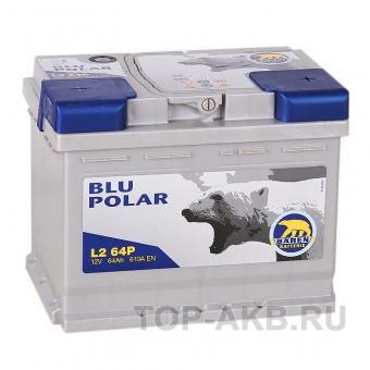 Аккумулятор автомобильный Baren Polar Blu 64R 610A 242x175x190 (L264P)