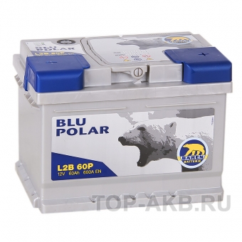 Аккумулятор автомобильный Baren Polar Blu 60R низкий 600A 242x175x175 (L2B60P)