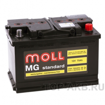 Аккумулятор автомобильный Moll MG Standard 75R 720A 276x175x190