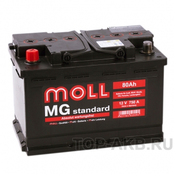 Аккумулятор автомобильный Moll MG Standard 80L 750A 276x175x190