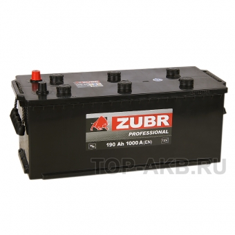 Аккумулятор автомобильный ZUBR Professional 190 евро (1000A 513x223x223)