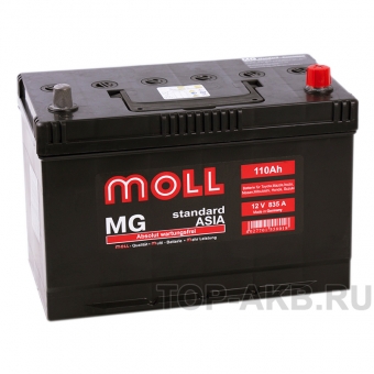 Аккумулятор автомобильный Moll MG Standard Asia 110R 835A 292x170x215