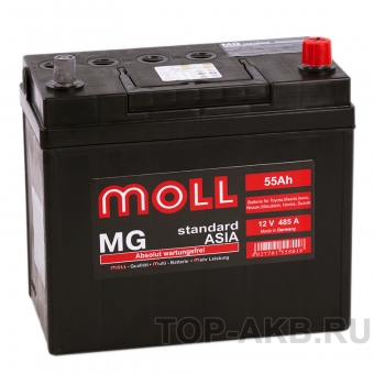 Аккумулятор автомобильный Moll MG Standard Asia 65B24LS (55R 485A 229x120x220)