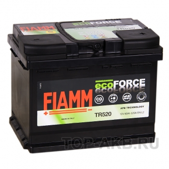 Аккумулятор автомобильный Fiamm Ecoforce AFB 60R 520A (242x175x190) EFB Start-Stop TR520