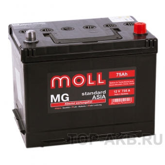 Аккумулятор автомобильный Moll MG Standard Asia 75R 735A 250x170x220