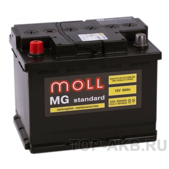 Аккумулятор автомобильный Moll MG Standard 60L 540A 242x175x190