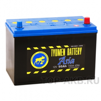 Аккумулятор автомобильный Tyumen Battery Asia 95 Ач обр. пол. 750A (302x173x225)
