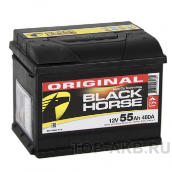 Black Horse 55L 480A 242x175x190