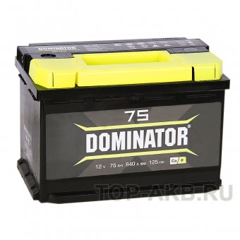 Аккумулятор автомобильный Dominator 75R 750А 278x175x190