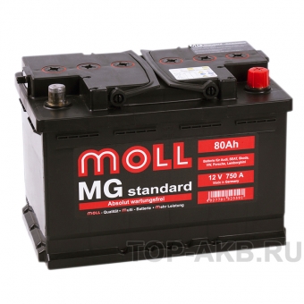 Аккумулятор автомобильный Moll MG Standard 80R 750A 276x175x190