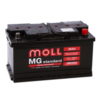 Аккумулятор автомобильный Moll MG Standard 80 SR 750A 315x175x175