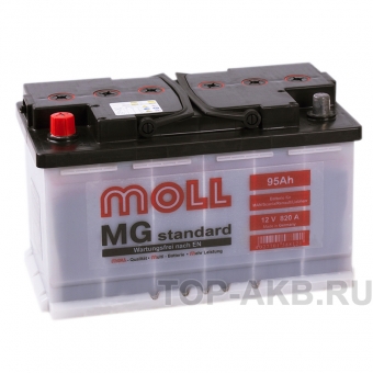 Аккумулятор автомобильный Moll MG Standard 95L 820A 315x175x190