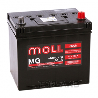 Аккумулятор автомобильный Moll MG Standard Asia 66R 575A 220x164x220