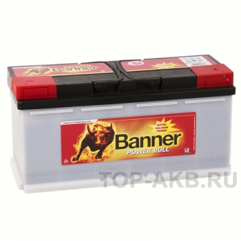 BANNER Power Bull Pro (110 40) 110R 900A 393x175x190