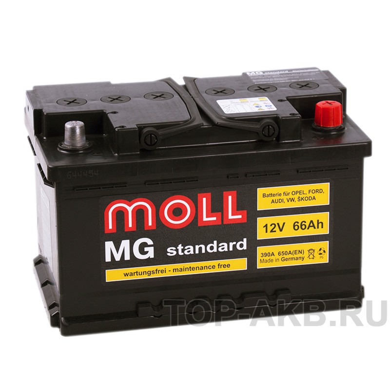 Moll MG Standard 66R 650A 278x175x175