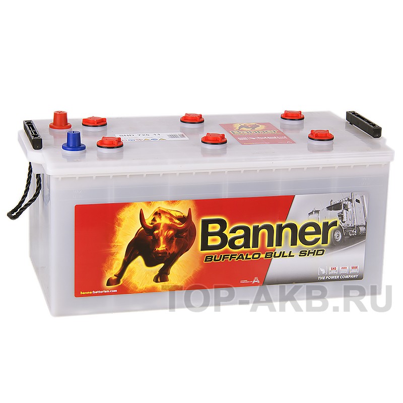 BANNER Buffalo Bull (725 11) 225 евро 1050A 517x273x240