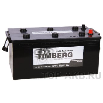 Timberg Truck 225 евро 1250A 518x273x223