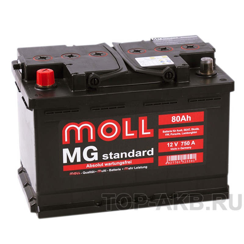 Moll MG Standard 80L 750A 276x175x190 Moll MG Standard 80L 750A 276x175x190