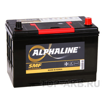 Alphaline Standard 105D31L 90R 750A 302x172x220