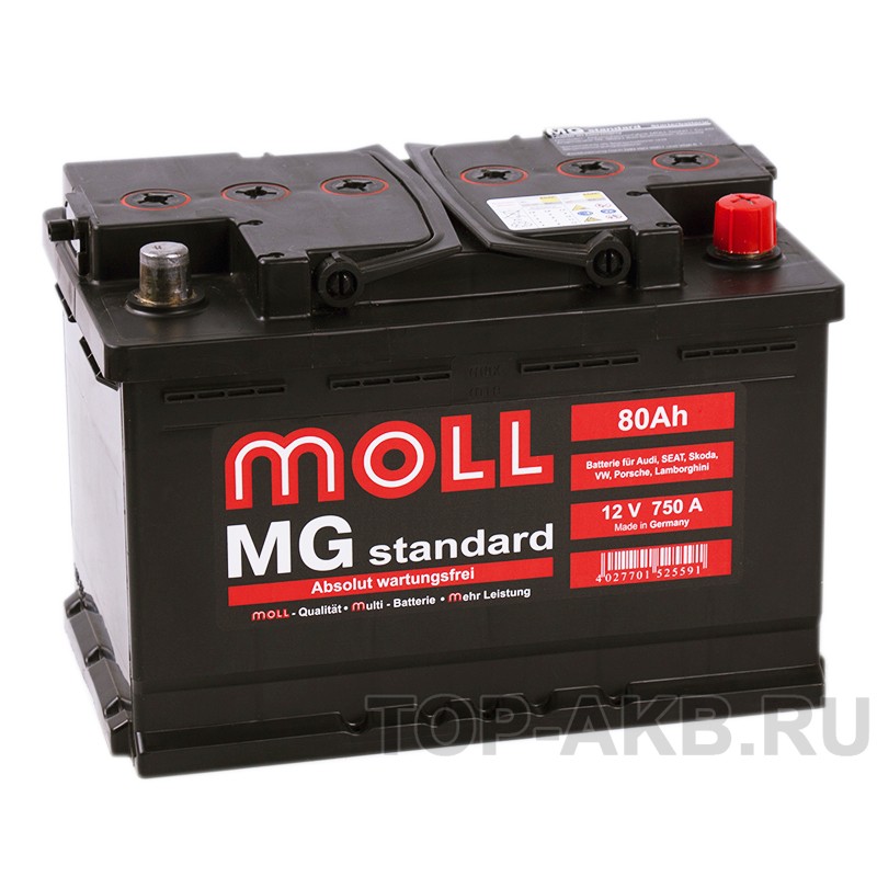 Moll MG Standard 80R 750A 276x175x190 Moll MG Standard 80R 750A 276x175x190
