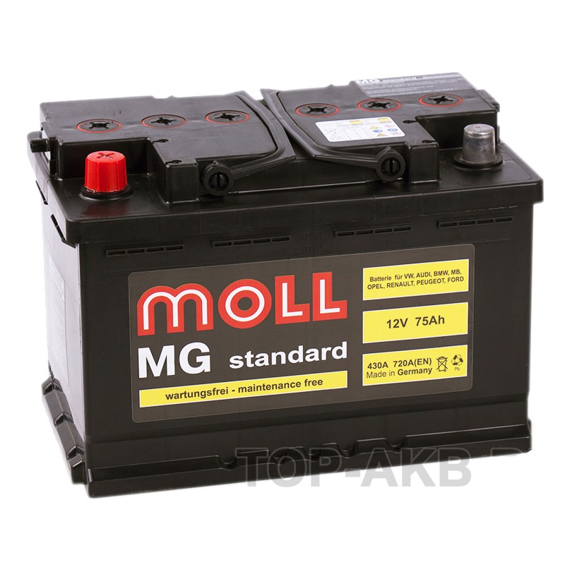 Moll MG Standard 75L 720A 276x175x190