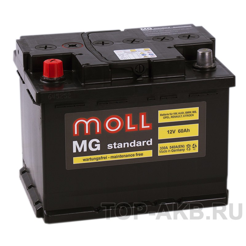Moll MG Standard 60L 540A 242x175x190 Moll MG Standard 60L 540A 242x175x190