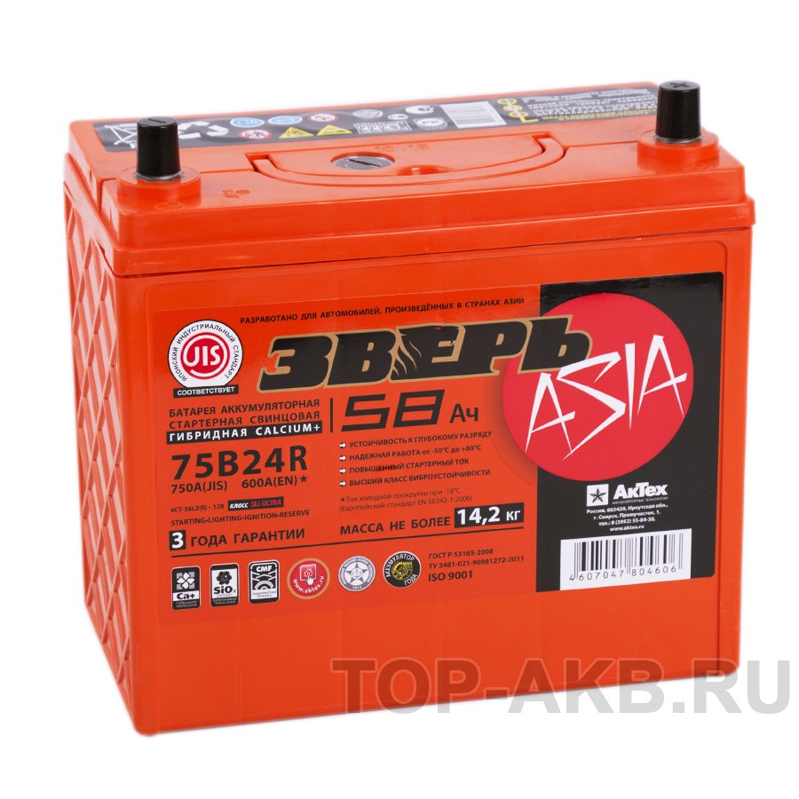 Зверь 75B24R (58L 600A 238x129x223) Зверь 75B24R (58L 600A 238x129x223)