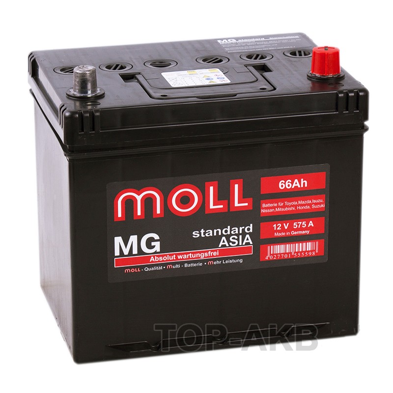 Moll MG Standard Asia 66R 575A 220x164x220 Moll MG Standard Asia 66R 575A 220x164x220