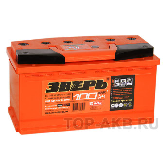 Зверь 100R 850A 353x175x190