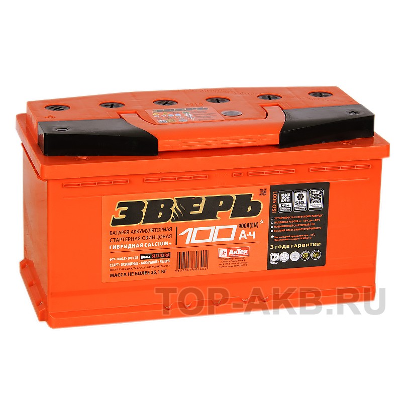 Зверь 100R 850A 353x175x190