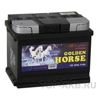 Golden Horse 60L 510А 242x175x190