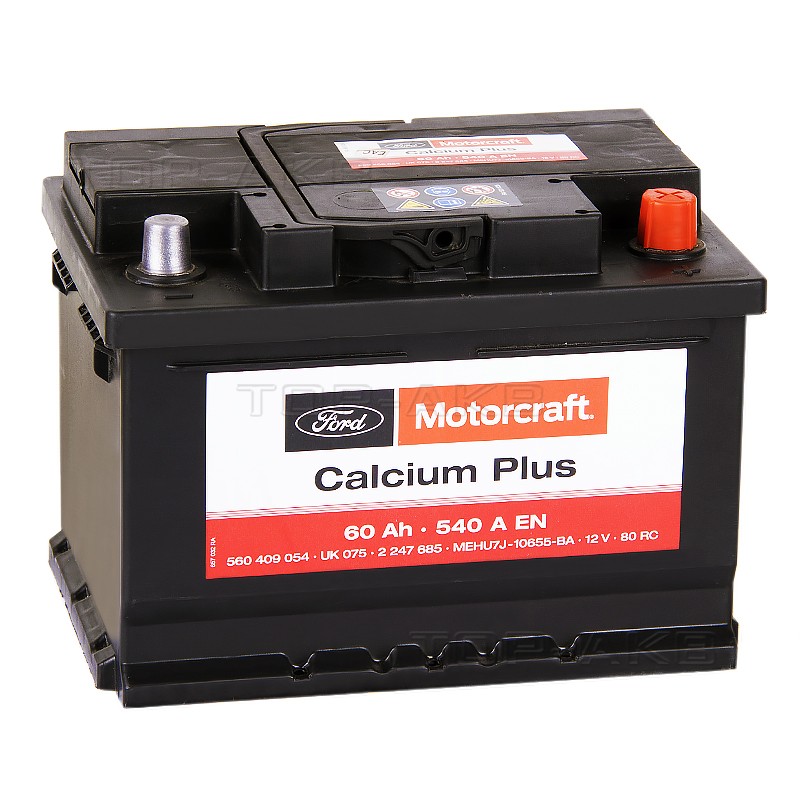 Motorcraft Calcium Plus (FORD) 60 Ач обратная пол. 540А (242x175x175) Motorcraft Calcium Plus (FORD) 60 Ач обратная пол. 540А (242x175x175)