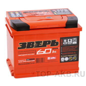 Зверь 60R 600A 242x175x190