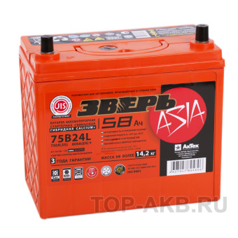 Зверь 75B24L (58R 600A 238x129x223)