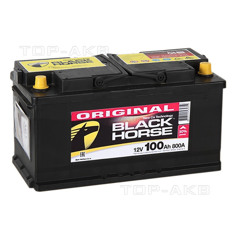 Black Horse 100R 800A 353x175x190