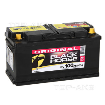 Black Horse 100L 800A 353x175x190