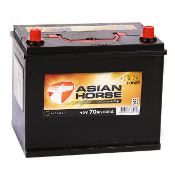 Asian Horse 70R 630A 260x173x225