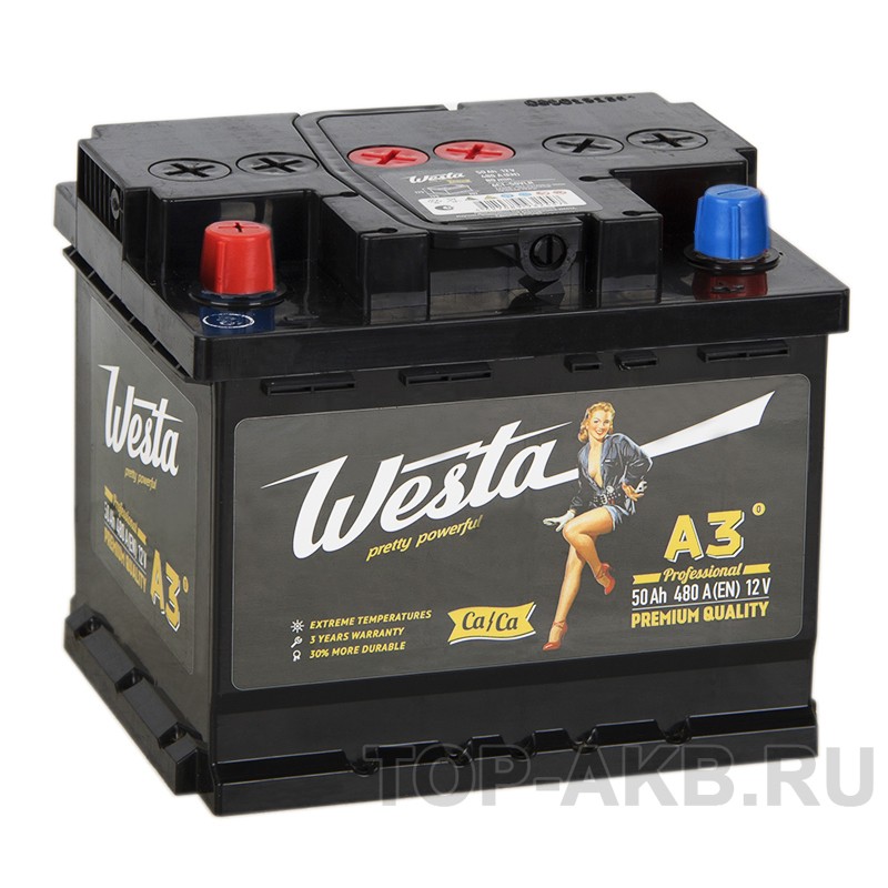 Westa 50L 480A 207x175x175