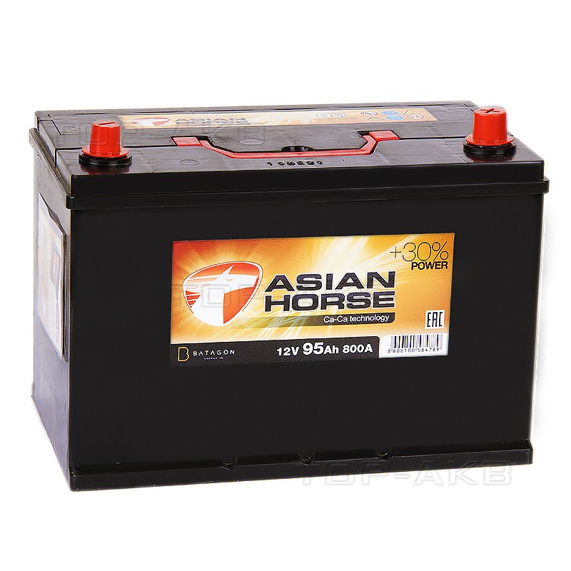 Asian Horse 95R 800A 306x175x225