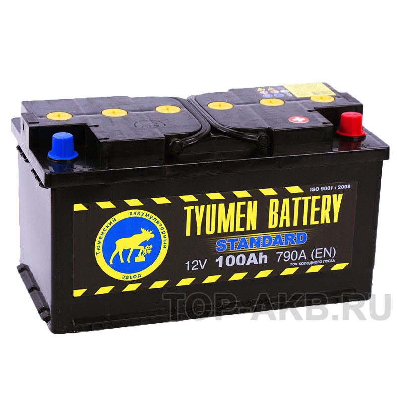 Tyumen Battery Standard 100 Ач обр. пол. 830A (353x175x190) Tyumen Battery Standard 100 Ач обр. пол. 830A (353x175x190)