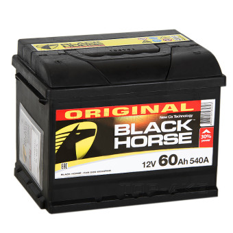 Black Horse 60L 540A 242x175x190